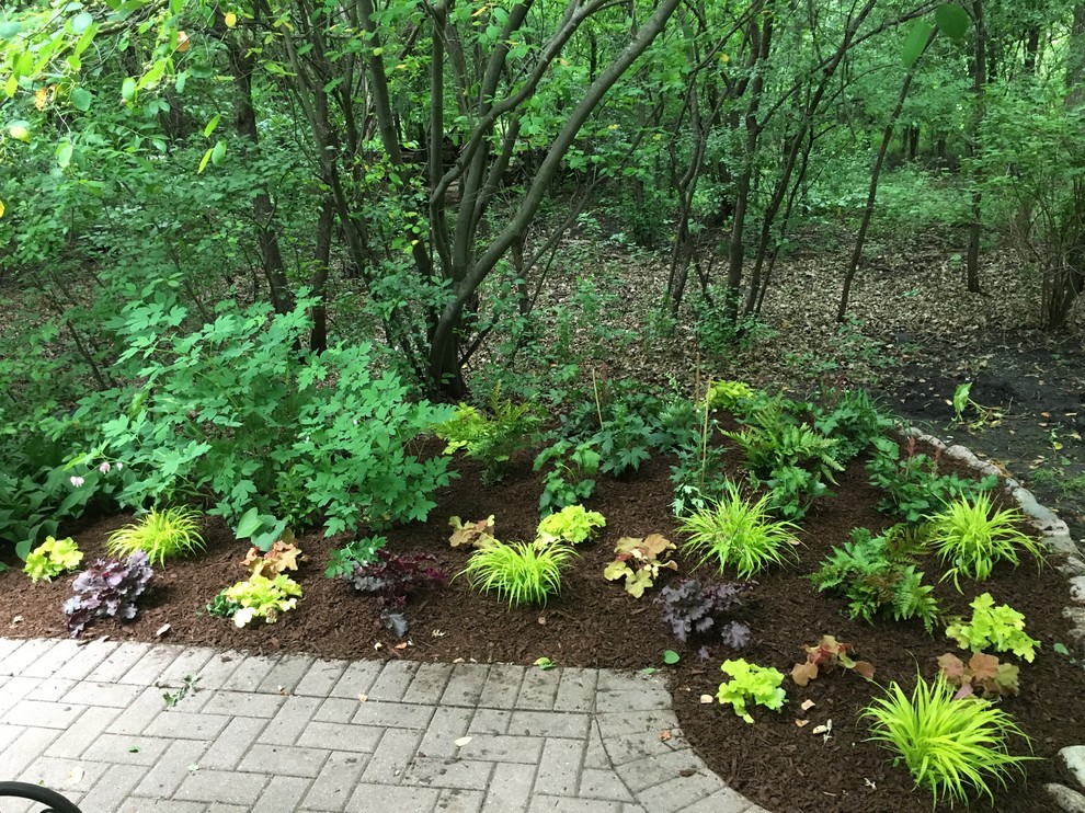 Deep shade and lots of deer we created this garden packed with multi seasonal pu