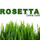 Rosetta Lawn Care