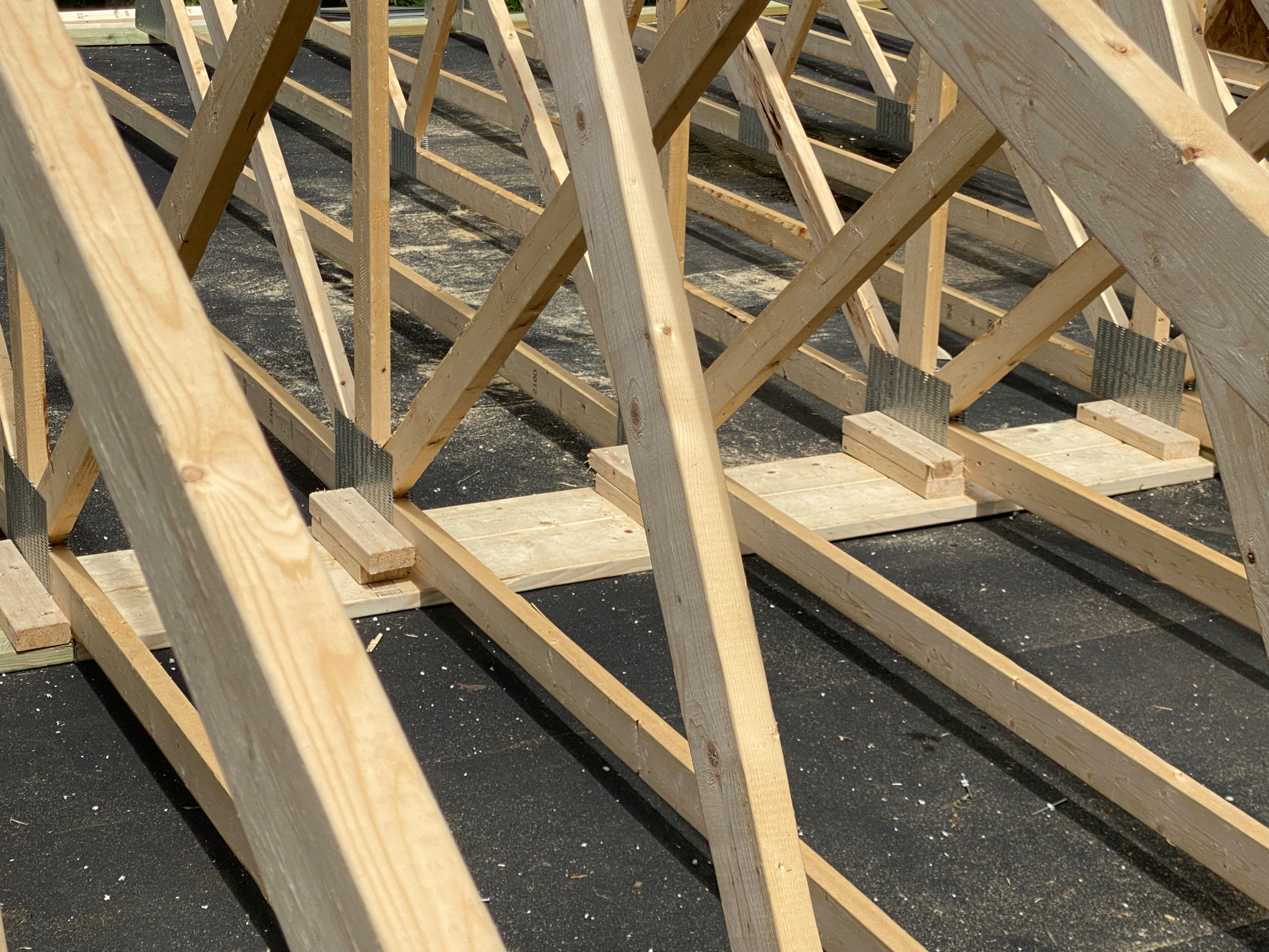 Roof Addition