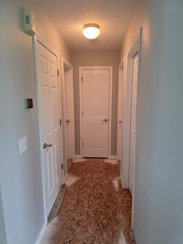 Livingroom / Dining Room / Hallways Painting