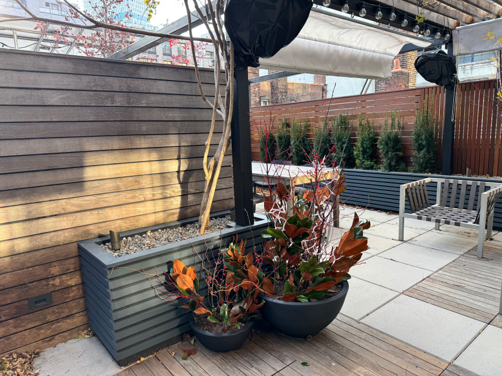 Williamsburg terrace
