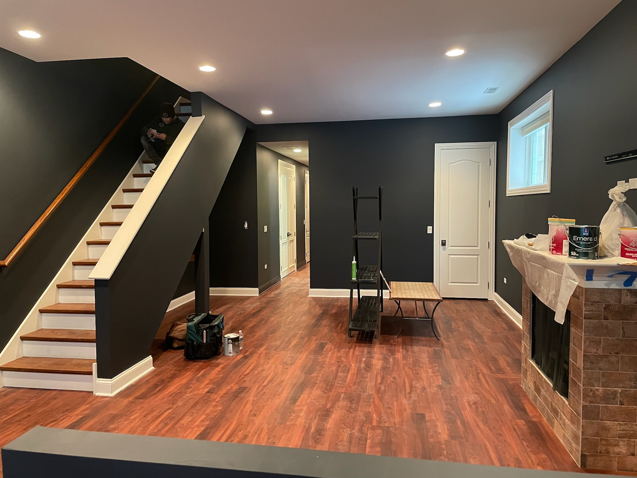 Bucktown, basement remodel