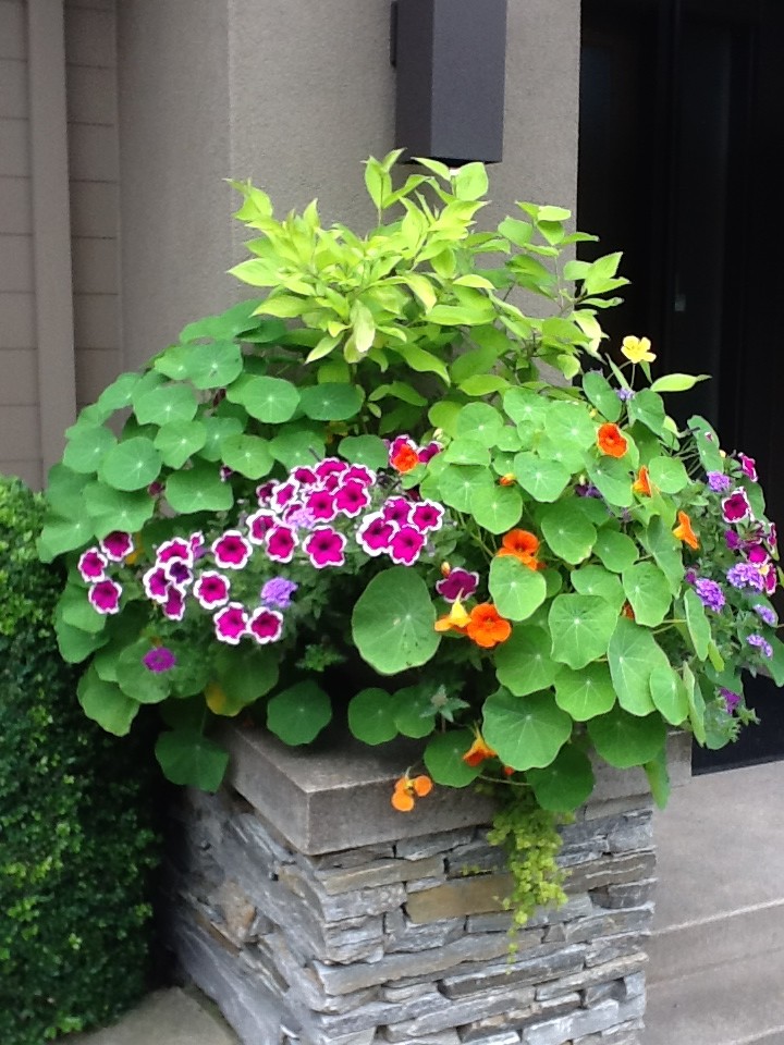This is an example of a small traditional front yard full sun garden for summer in Portland with a container garden.