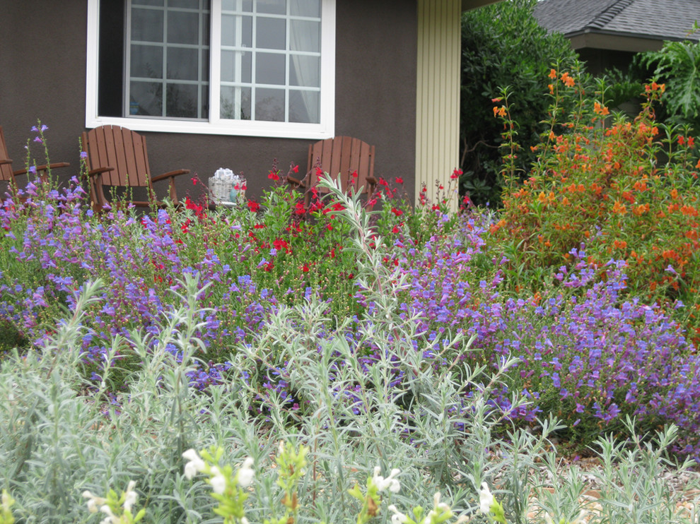 This is an example of a mid-sized mediterranean front yard full sun garden in Orange County with gravel.