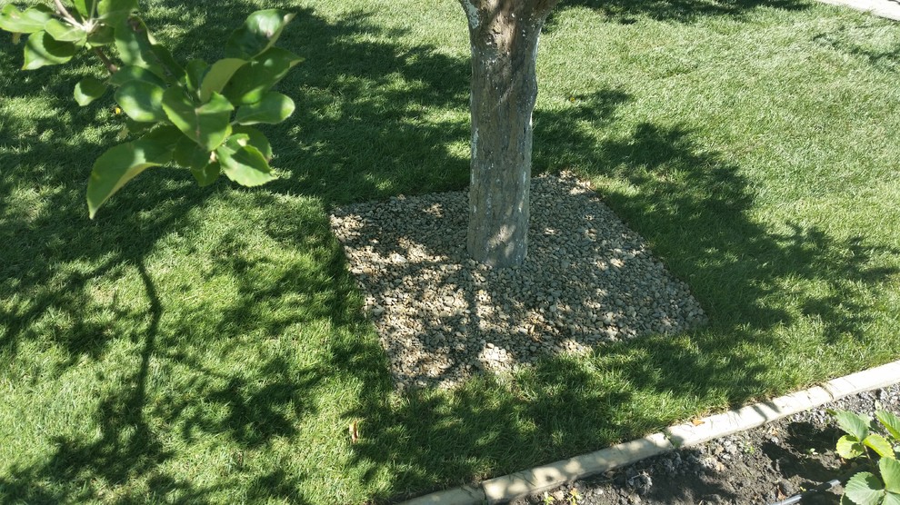 Рулонный газон в Ростове-на-Дону все работы под ключ!