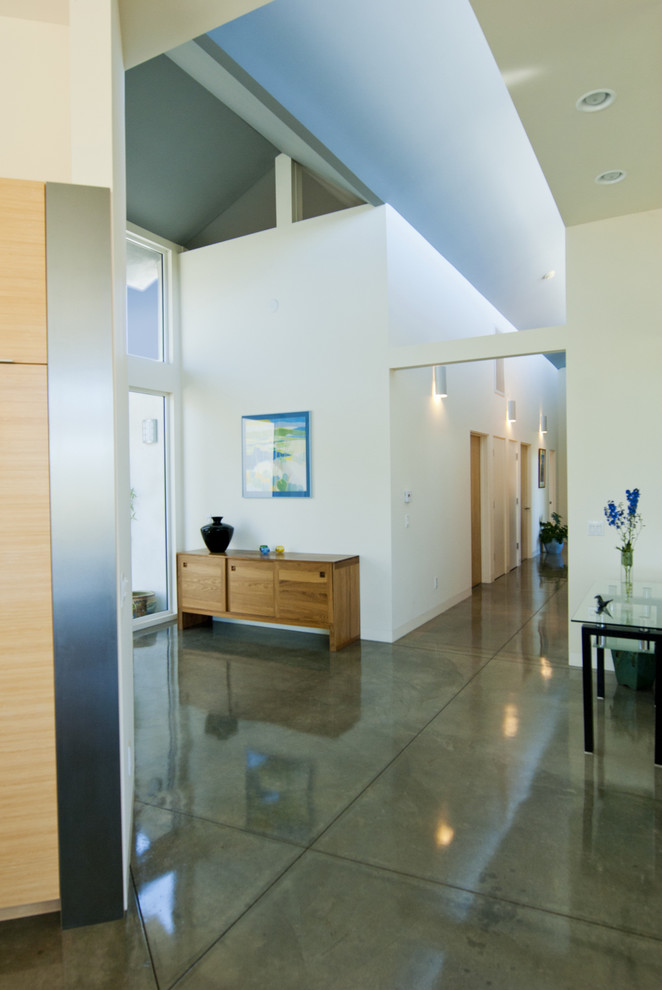 Inspiration for a modern entryway in Los Angeles with concrete floors and green floor.
