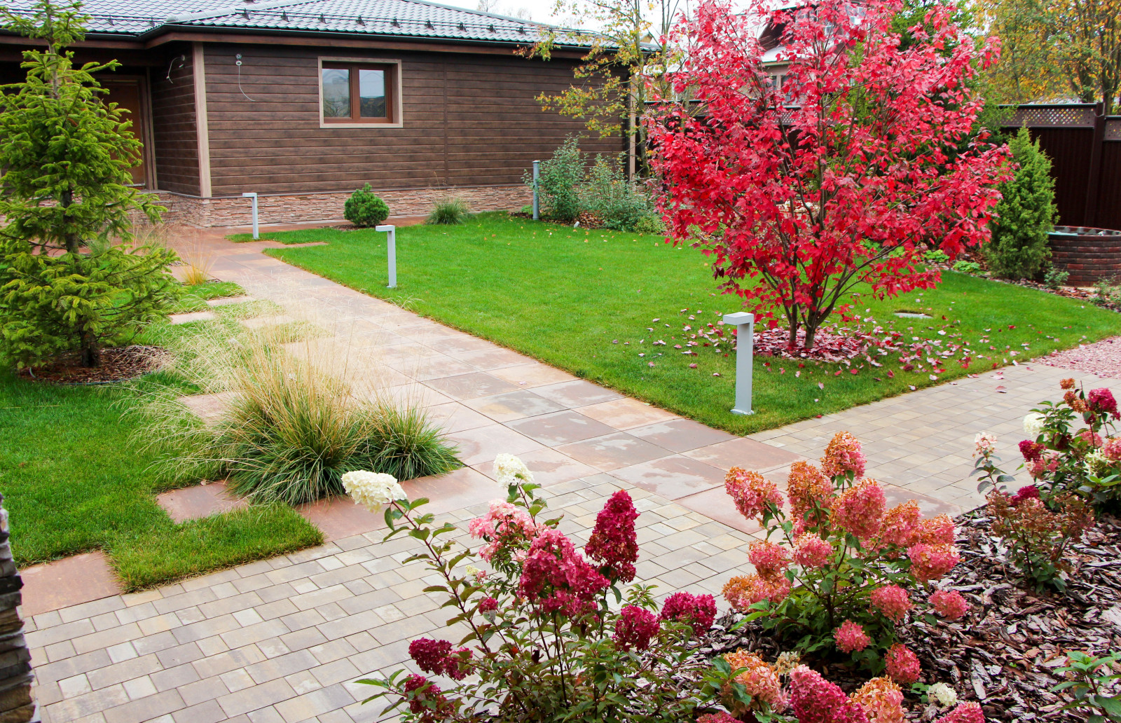 Петровское, 2018-2020 гг.