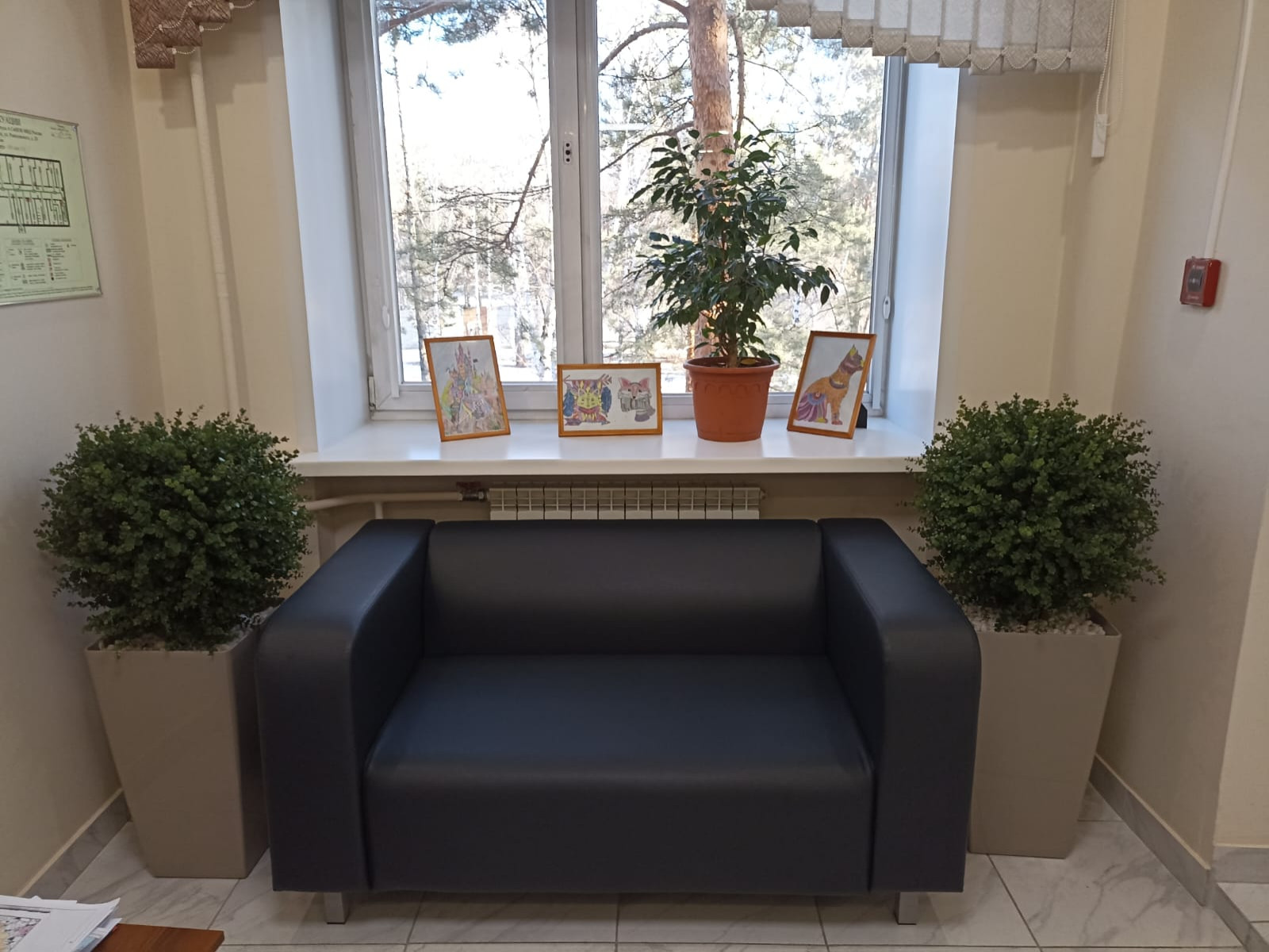 Растения для офисного пространства