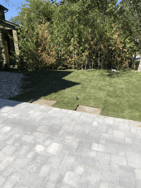 Recent Projects 