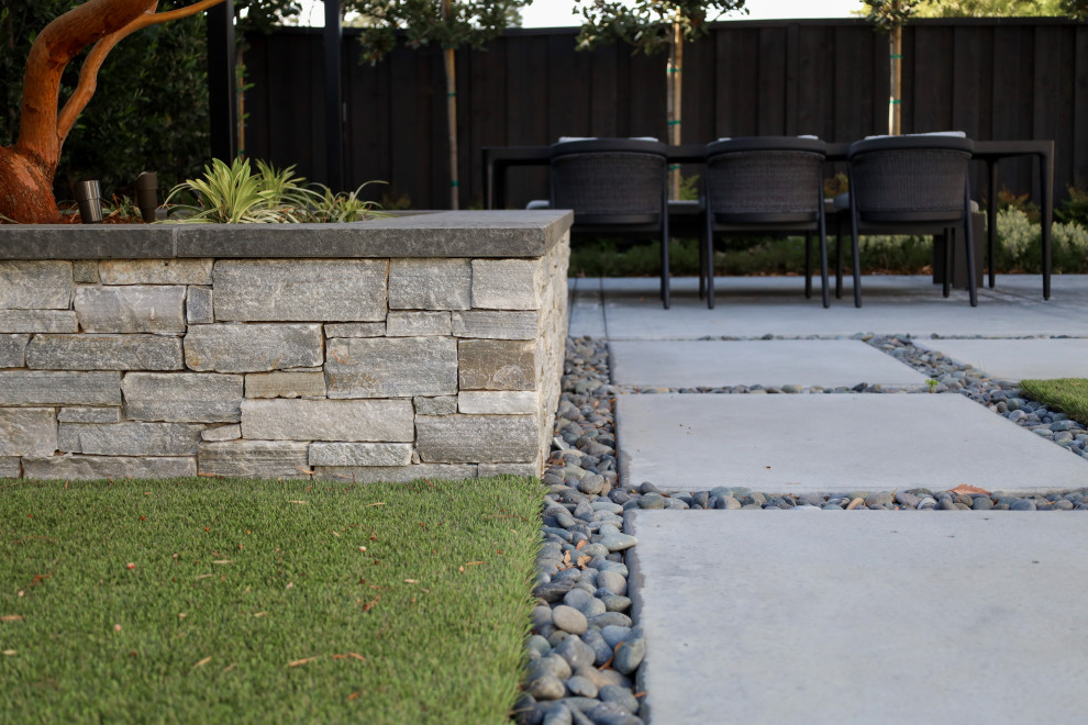 Inspiration for a medium sized modern back patio in San Francisco with a potted garden, concrete paving and a pergola.