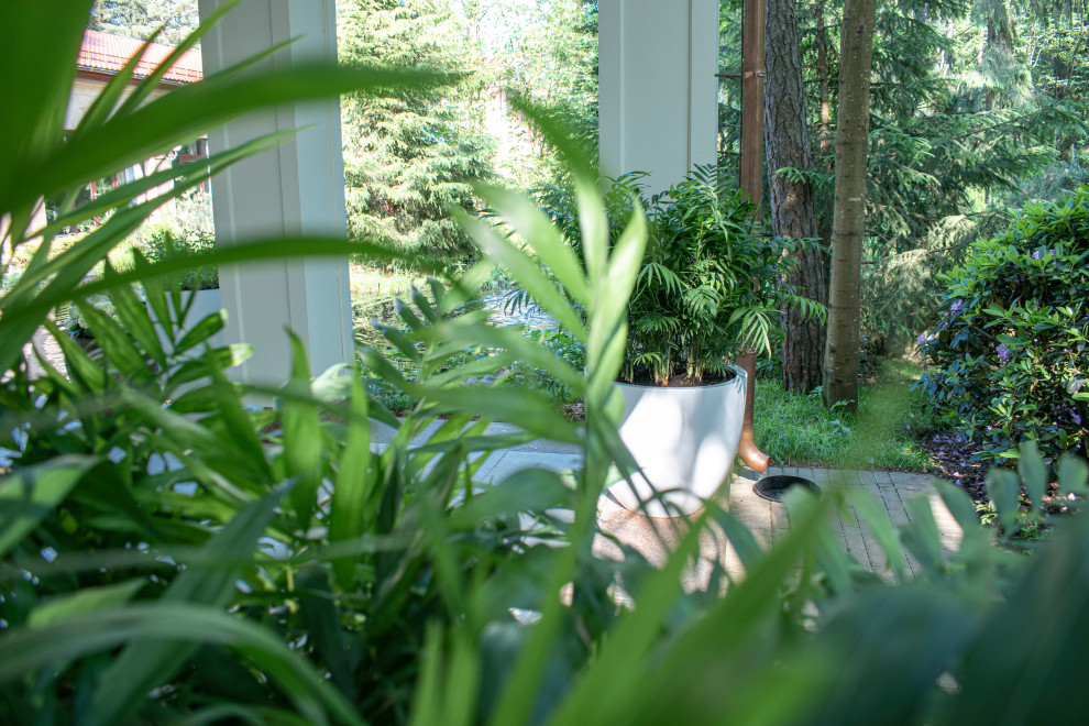 Тропическое озеленение террасы