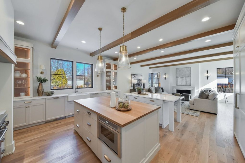 Inspiration for a transitional kitchen remodel in Chicago