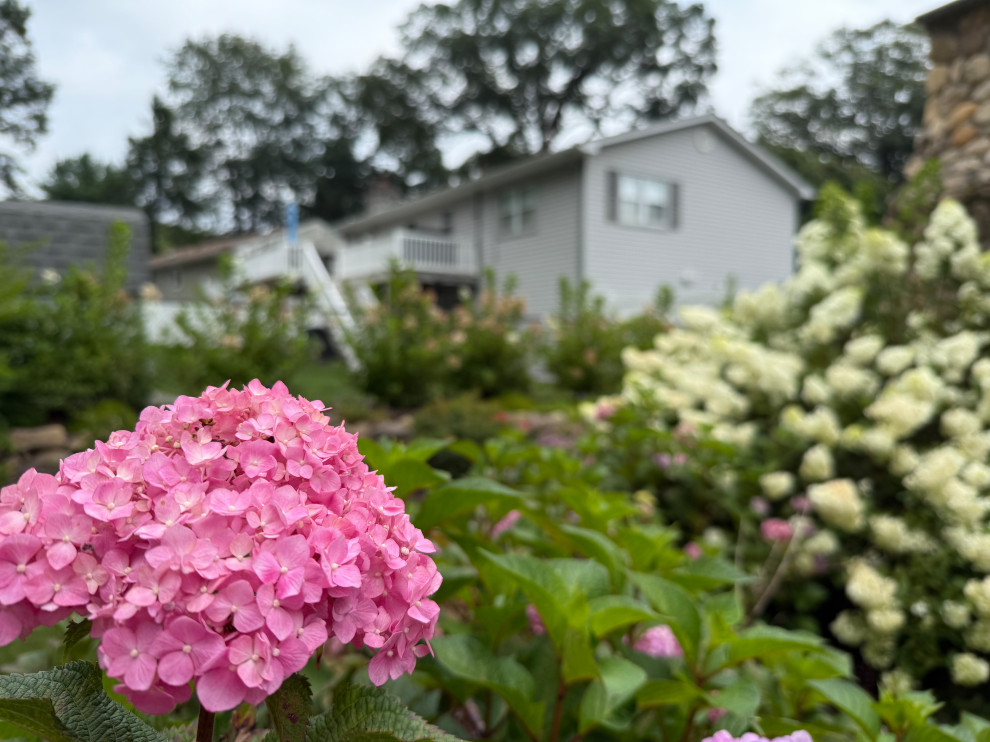 Fine Gardening