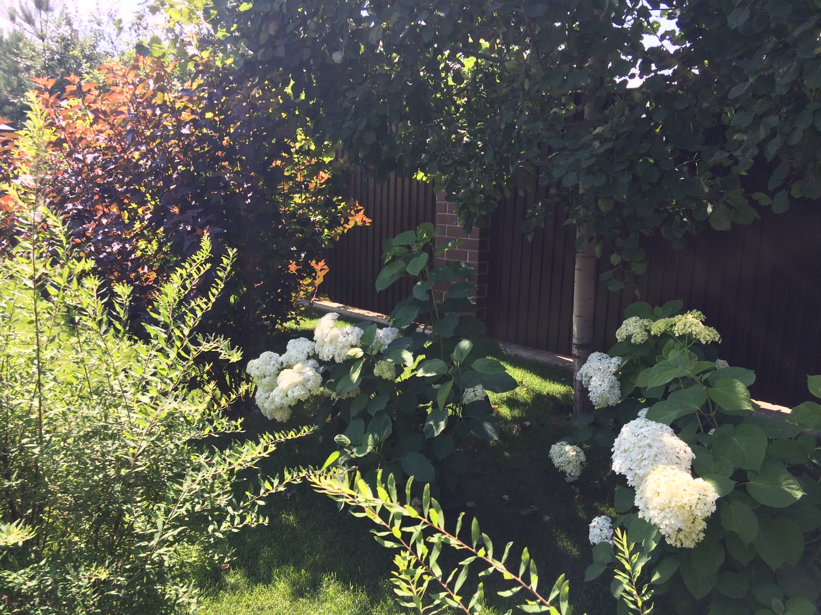 Вавиловец 1