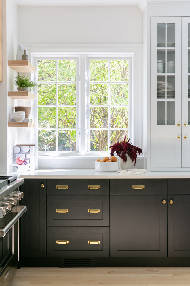 Inspiration for a transitional kitchen remodel in Chicago