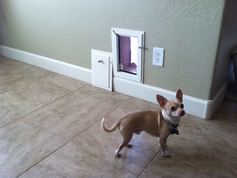 Wall Doors Phoenix de JGM Pet Doors Houzz