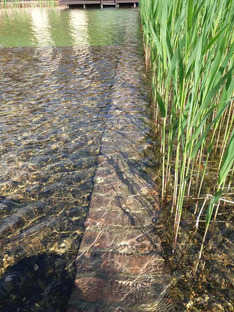 Плавательный водоём в п. Машкачи (Кировская область)