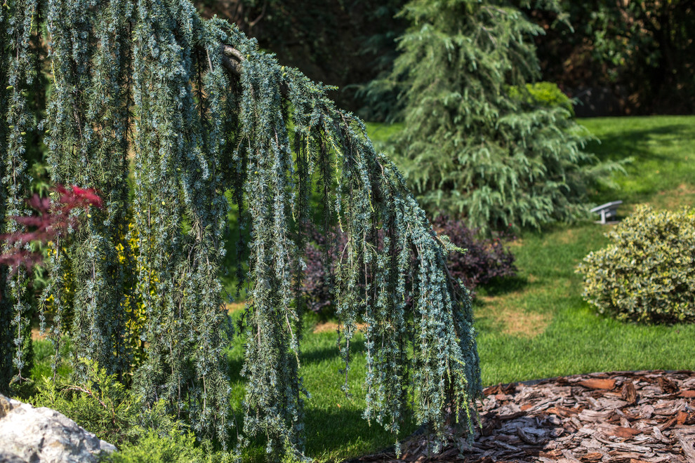 Ландшафтный Дизайн Олимпийский Сочи