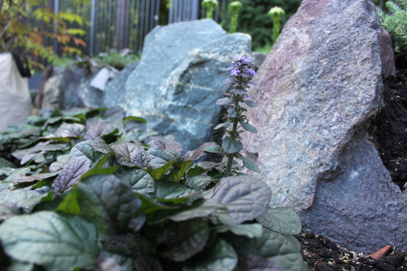 Современный ландшафтный дизайн.