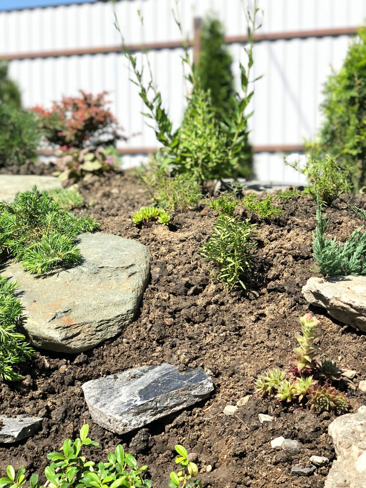 Привет, станица!