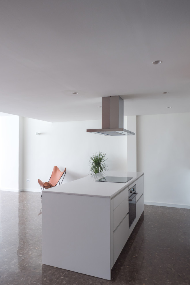 Mid-sized modern eat-in kitchen in Barcelona with an undermount sink, light wood cabinets, quartz benchtops, stainless steel appliances, terrazzo floors, with island, brown floor and white benchtop.