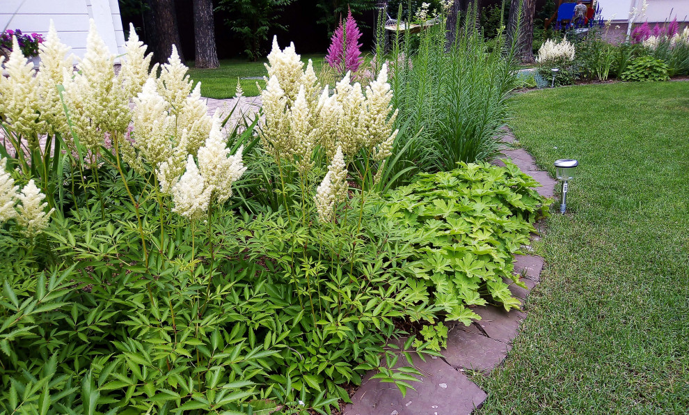 Цветники под пологом леса