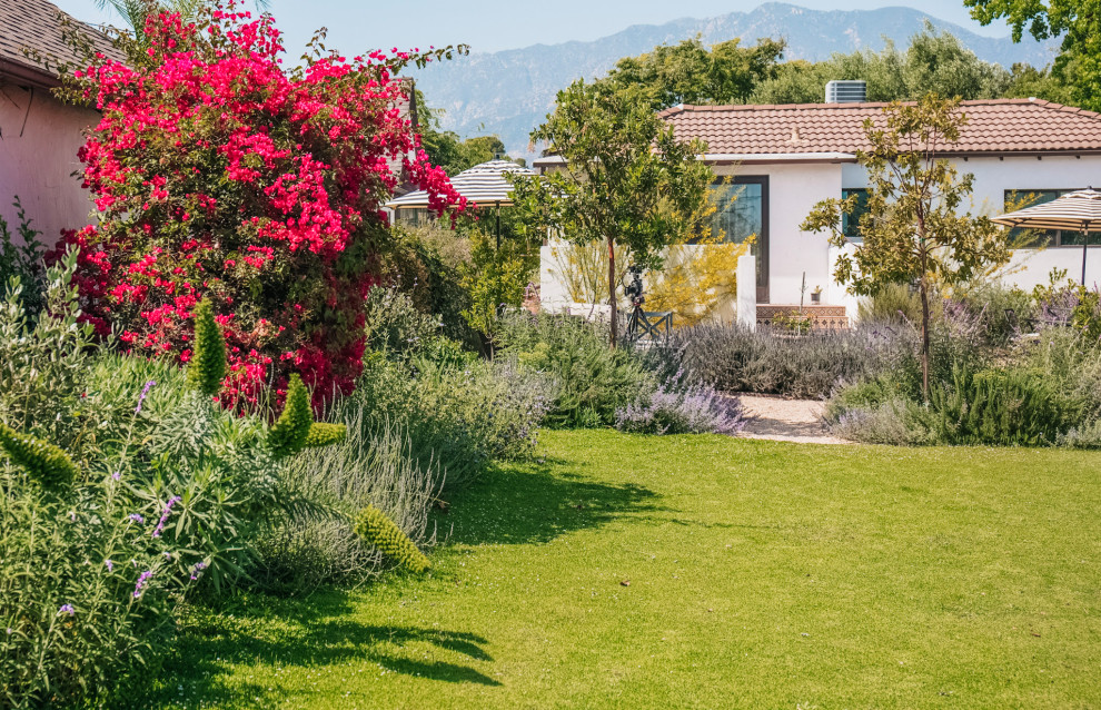 Idee per un grande giardino mediterraneo esposto in pieno sole dietro casa in estate con ghiaia