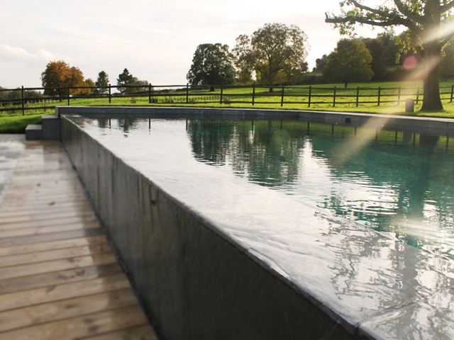 Hambledon, Berkshire - Infinity Lap Pool contemporary-pools-and-hot-tubs
