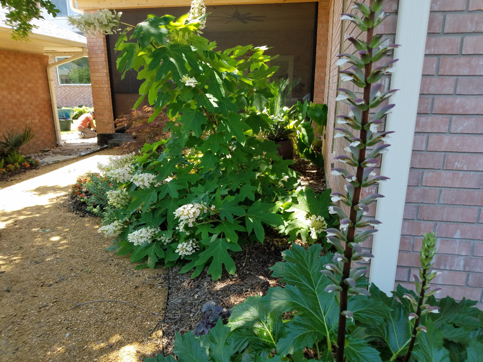 Back Yard Landscape