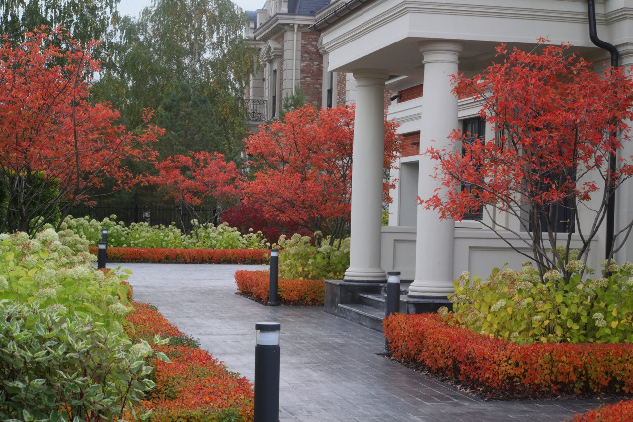 Тихая роскошь