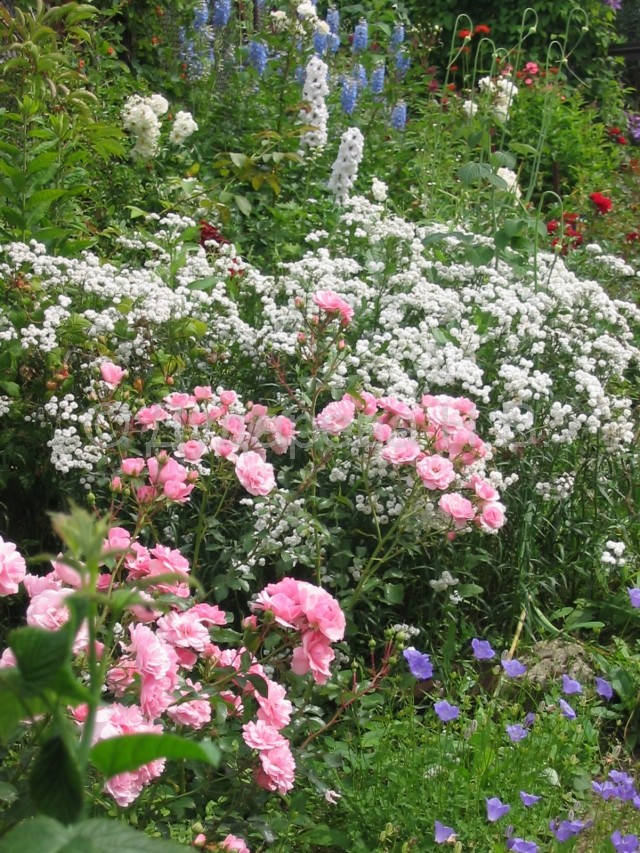 Домодедово