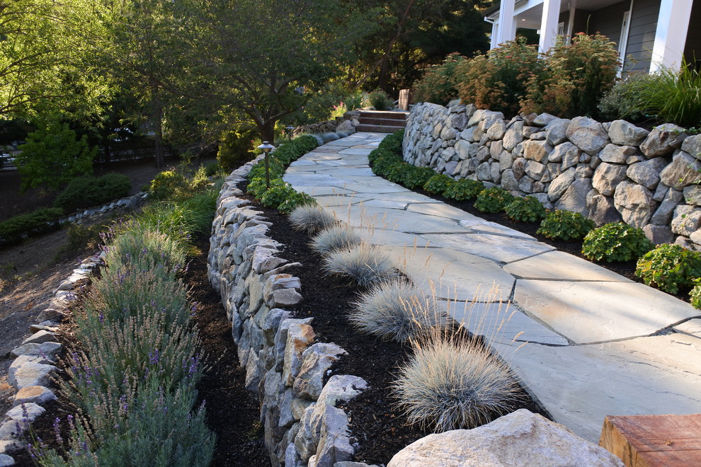 Photo of a garden in San Francisco.