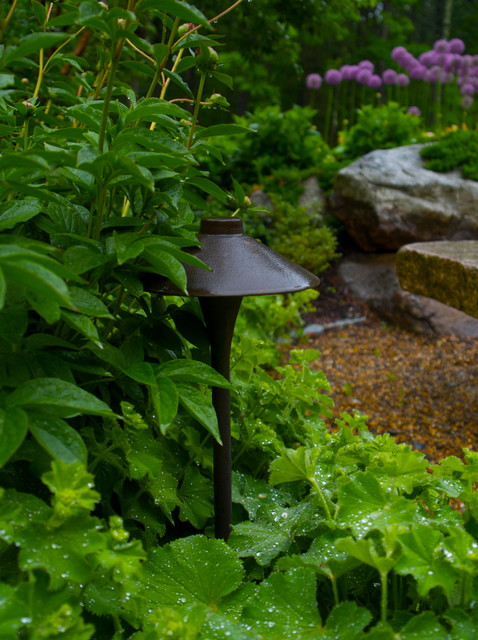 Back Yard Oasis transitional-garden