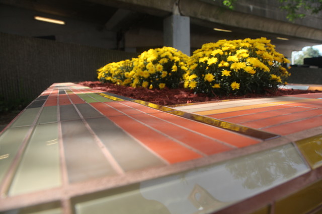 Pools & Outdoor Mosaics modern-landscape