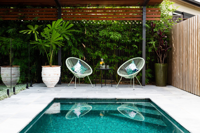 Inner West escape contemporary-terrace
