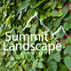 Summit Landscape and Design
