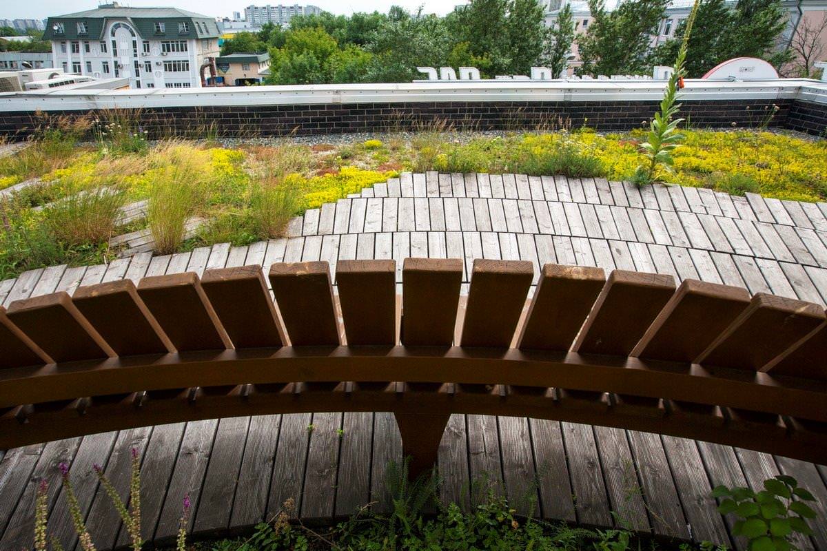 Сад на крыше