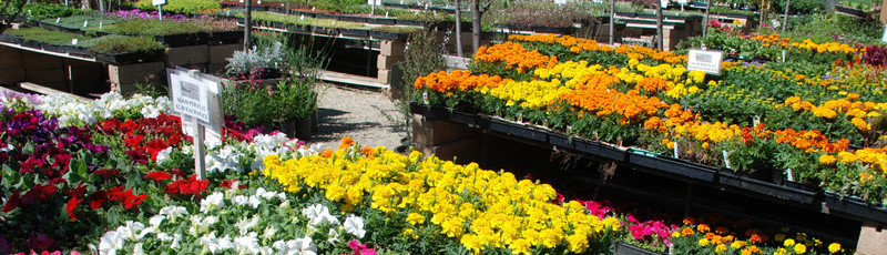 Elegant Gardens Nursery Inc Moorpark Ca Us 93021 Elegant Gardens Nursery Inc