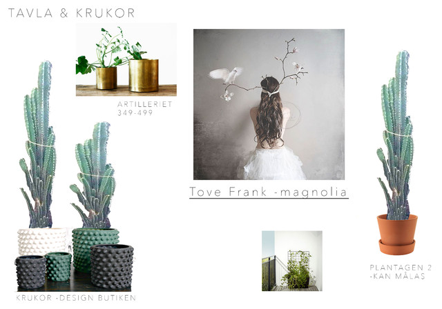 Eco wellness 