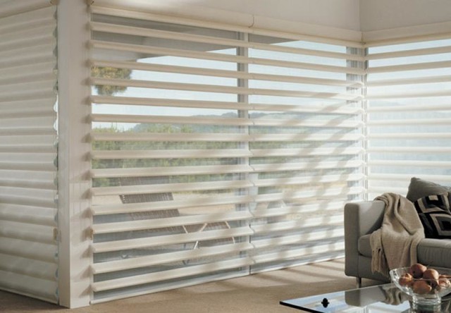 Living Room Shades minimalistisch-wohnbereich