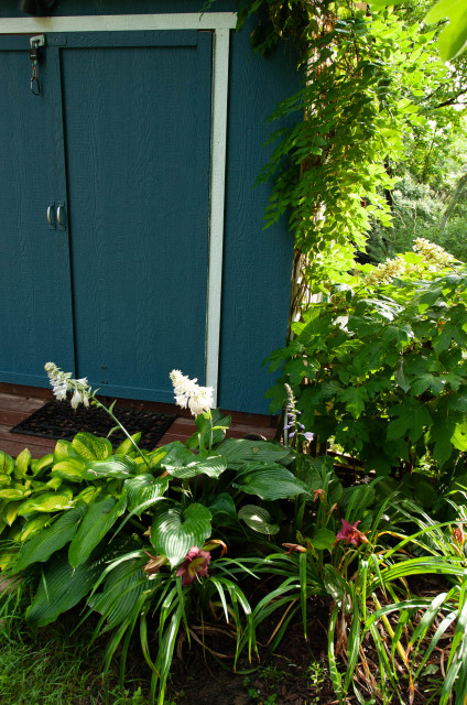 Landscape around Shed landstil-skur