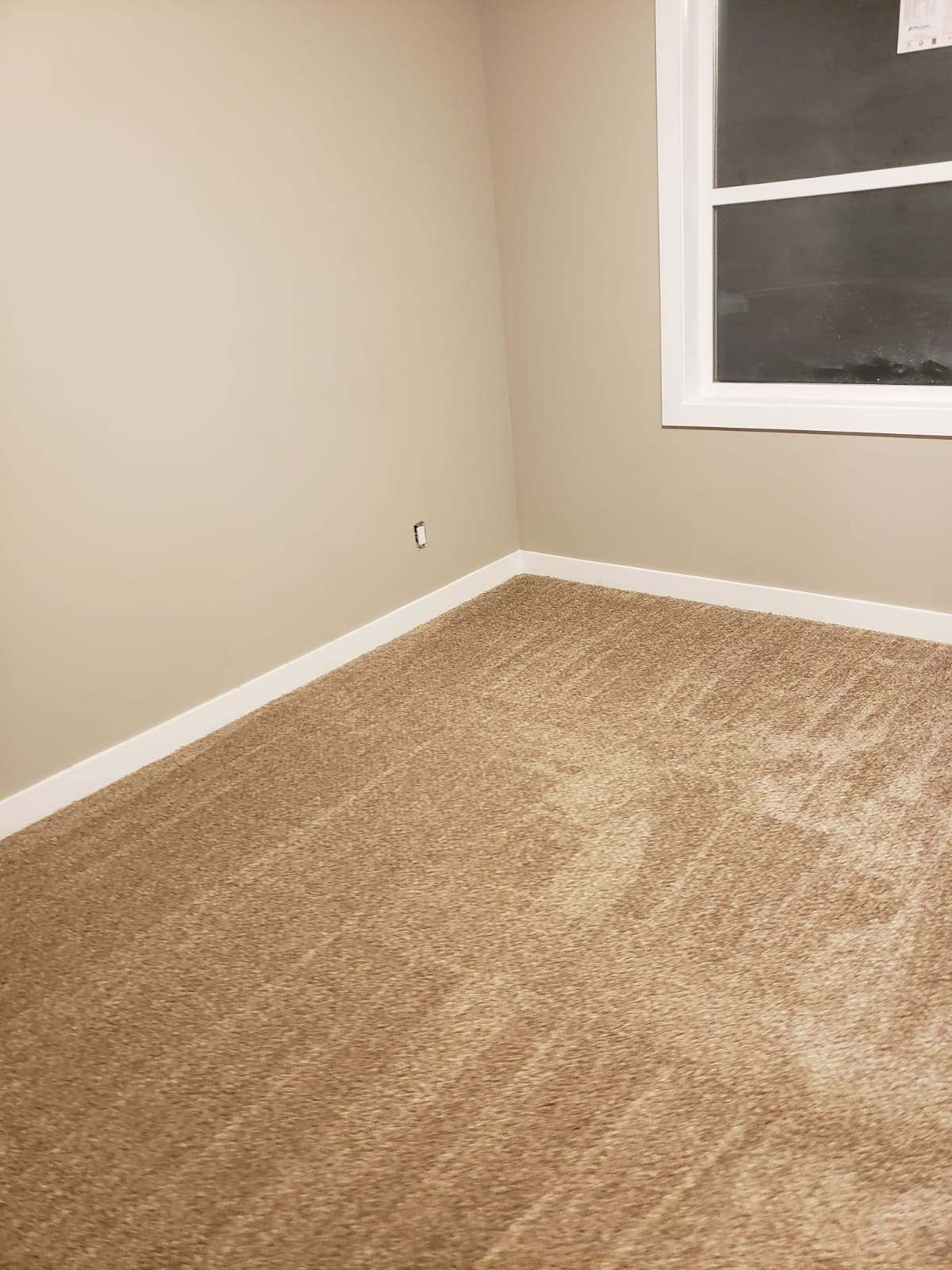 Carpet