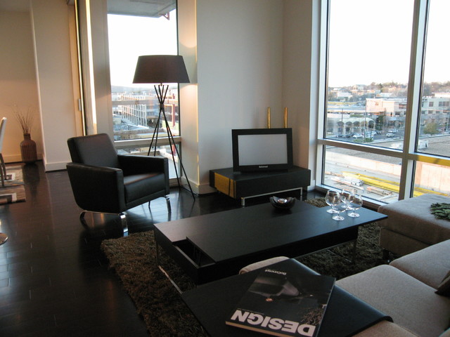 Modern Living Room Austin Spring Condo Austin Texas modern-living-room