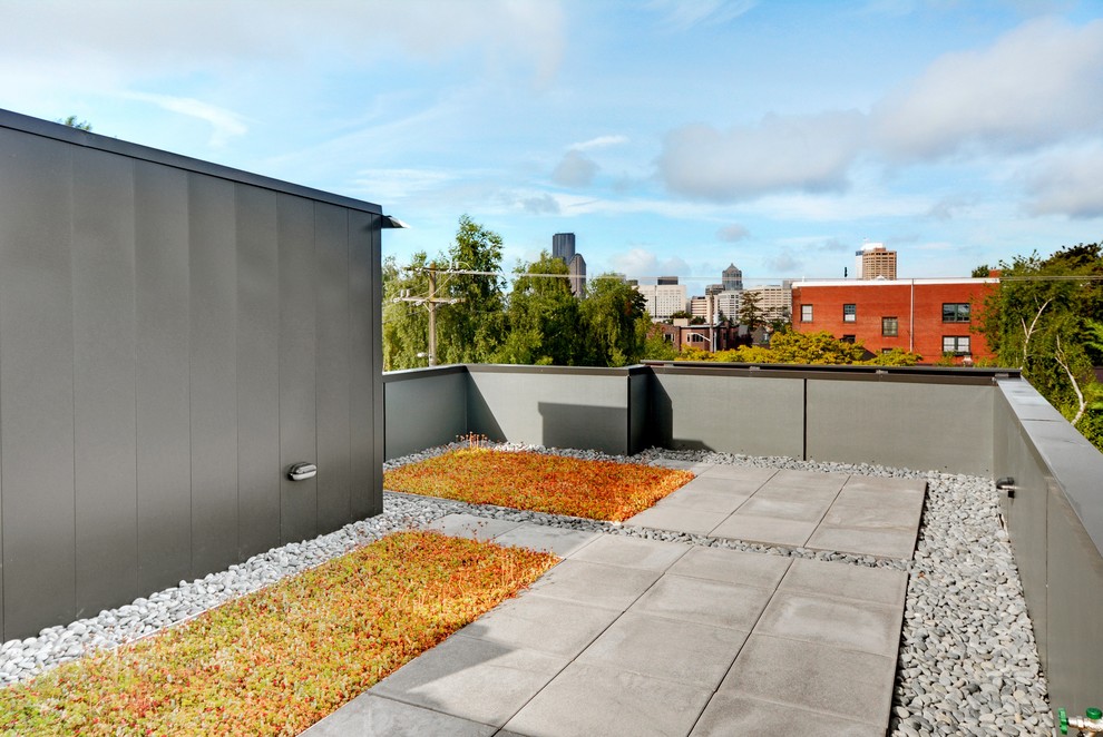 Esempio di una terrazza contemporanea sul tetto e sul tetto con nessuna copertura
