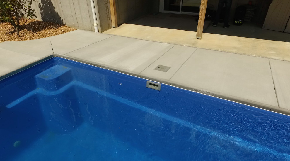 Réalisation d'une grande piscine naturelle et arrière design rectangle avec une dalle de béton.