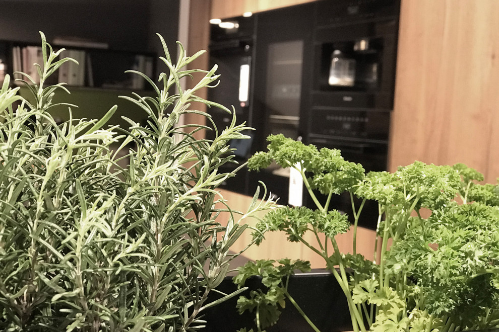 Шоурум салона кухонь в городе Бонн