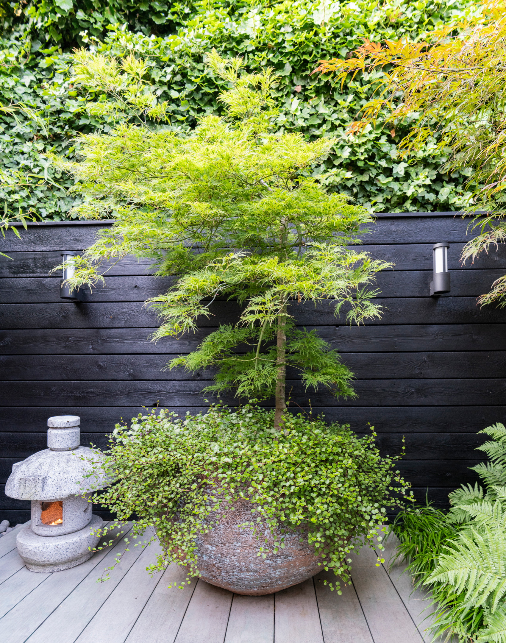 Patio of the Week: Calm Japanese-Style Haven in the City