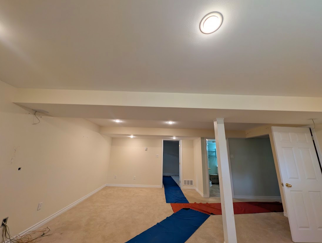 Basement Design+Build - Painting