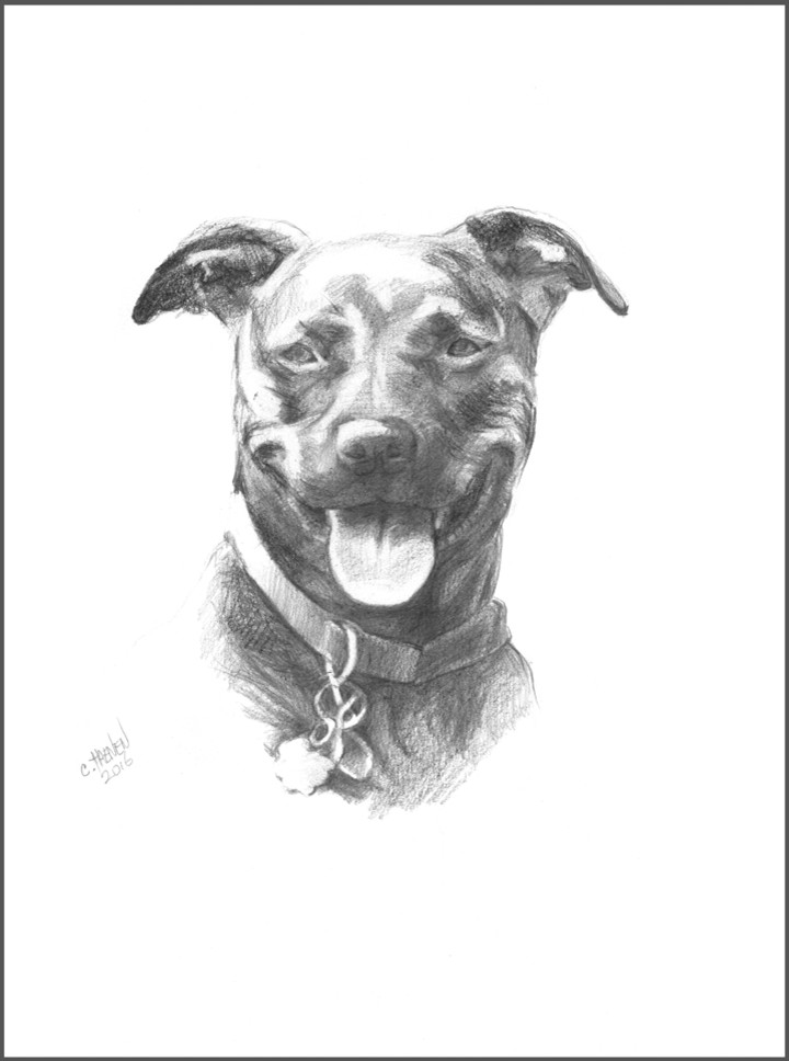 ORIGINAL PORTRAITS