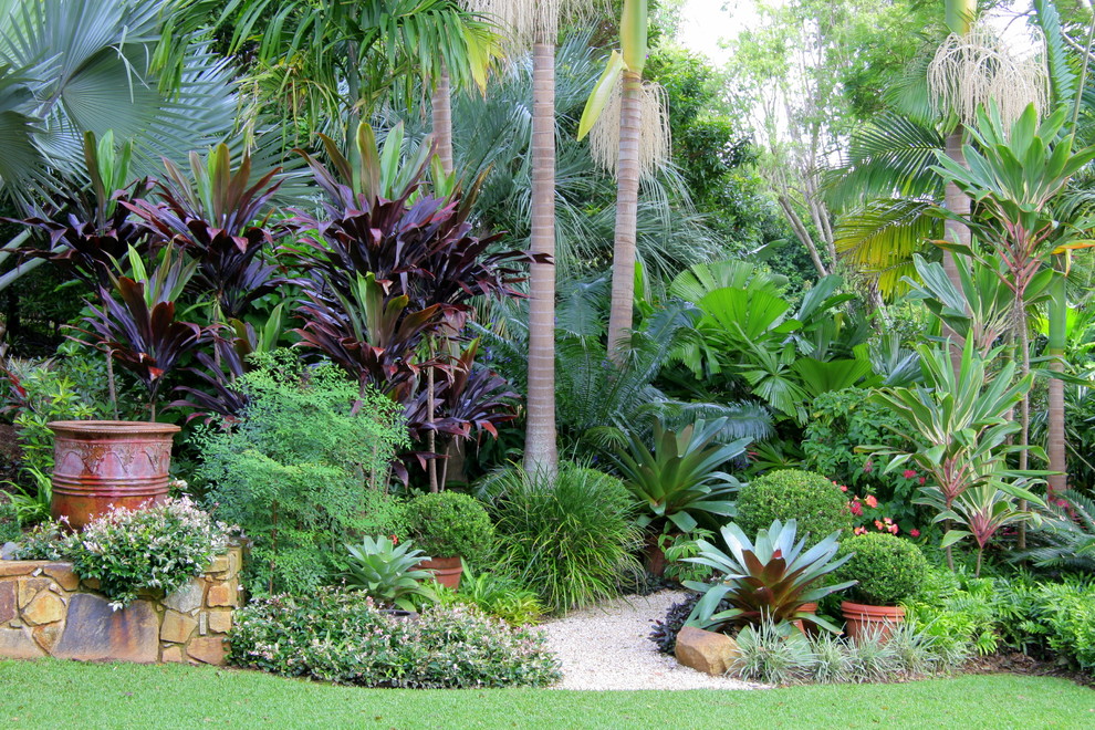 Design ideas for a tropical garden in Sydney.